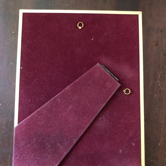 Egyptian Picture King Tut. 8x10 - Picture 2 of 4